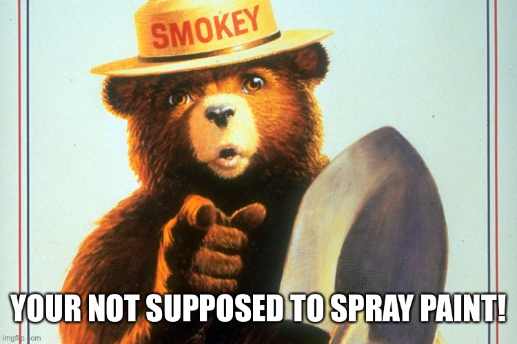 Smokey Bear | YOUR NOT SUPPOSED TO SPRAY PAINT! | image tagged in smokey bear | made w/ Imgflip meme maker