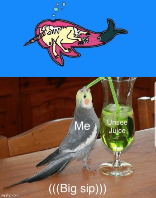 now it all makes sense! | image tagged in unsee juice,narwhal | made w/ Imgflip meme maker