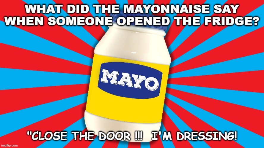 Daily Bad Dad Joke Oct 15 2020 | WHAT DID THE MAYONNAISE SAY WHEN SOMEONE OPENED THE FRIDGE? "CLOSE THE DOOR !!!  I'M DRESSING! | image tagged in fridge | made w/ Imgflip meme maker