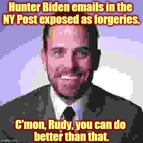 Sorry Fox, those Hunter Biden emails are Fake News. | Hunter Biden emails in the 
NY Post exposed as forgeries. C'mon, Rudy, you can do 
better than that. | image tagged in hunter biden,fake news,russian,propaganda,rudy giuliani,steve bannon | made w/ Imgflip meme maker
