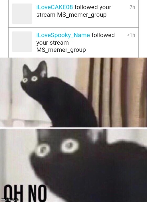 image tagged in oh no cat | made w/ Imgflip meme maker