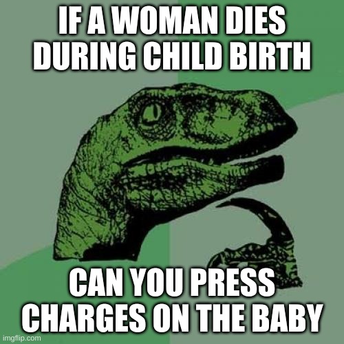 Philosoraptor | IF A WOMAN DIES DURING CHILD BIRTH; CAN YOU PRESS CHARGES ON THE BABY | image tagged in memes,philosoraptor | made w/ Imgflip meme maker