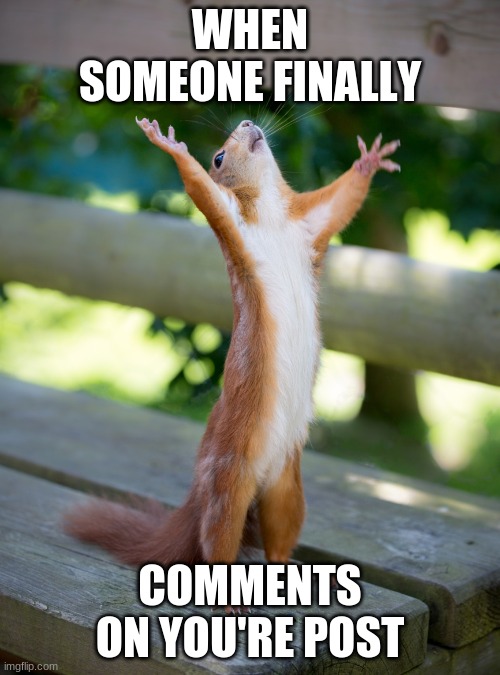 Hallelujah | WHEN SOMEONE FINALLY; COMMENTS ON YOU'RE POST | image tagged in hallelujah,comments,squirrel,hallelujah squirrel | made w/ Imgflip meme maker