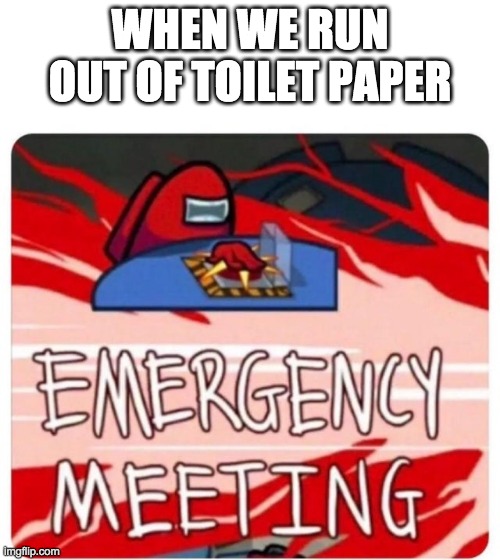 Emergency Meeting Among Us | WHEN WE RUN OUT OF TOILET PAPER | image tagged in emergency meeting among us | made w/ Imgflip meme maker