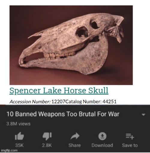 image tagged in top 10 weapons banned from war,spencer lake horse skull | made w/ Imgflip meme maker