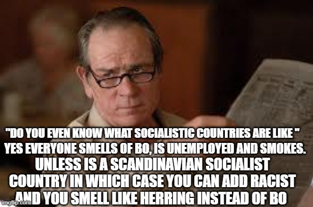 no country for old men tommy lee jones | "DO YOU EVEN KNOW WHAT SOCIALISTIC COUNTRIES ARE LIKE " YES EVERYONE SMELLS OF BO, IS UNEMPLOYED AND SMOKES. UNLESS IS A SCANDINAVIAN SOCIAL | image tagged in no country for old men tommy lee jones | made w/ Imgflip meme maker