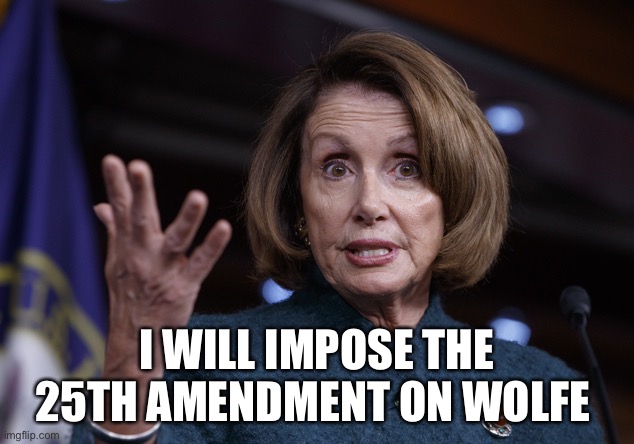 Good old Nancy Pelosi | I WILL IMPOSE THE 25TH AMENDMENT ON WOLFE | image tagged in good old nancy pelosi | made w/ Imgflip meme maker