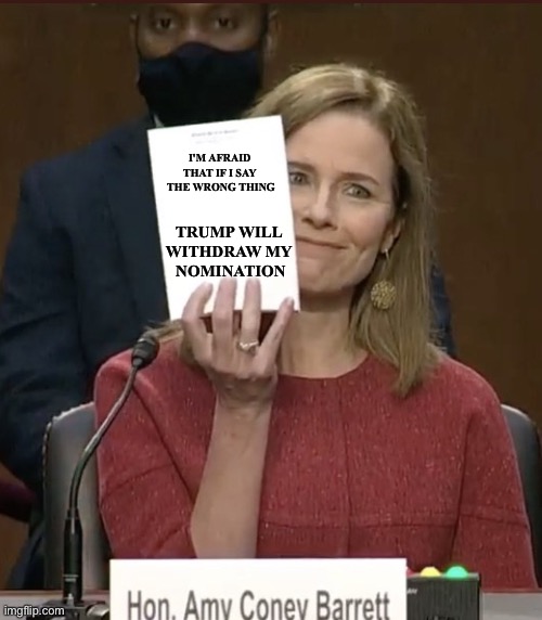 So I'll just be a good lackey | TRUMP WILL 
WITHDRAW MY 
NOMINATION; I'M AFRAID 
THAT IF I SAY 
THE WRONG THING | image tagged in amy coney barrett | made w/ Imgflip meme maker