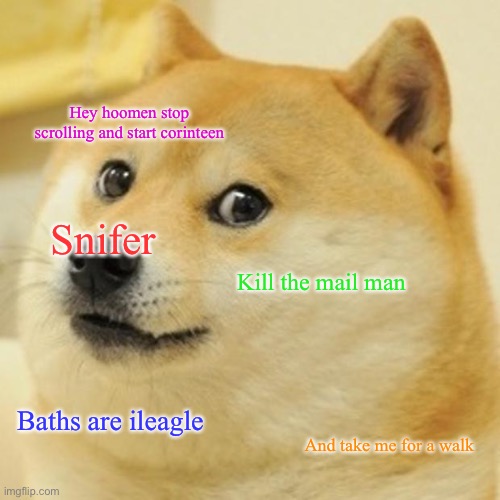 Doge Meme | Hey hoomen stop scrolling and start corinteen; Snifer; Kill the mail man; Baths are ileagle; And take me for a walk | image tagged in memes,doge | made w/ Imgflip meme maker