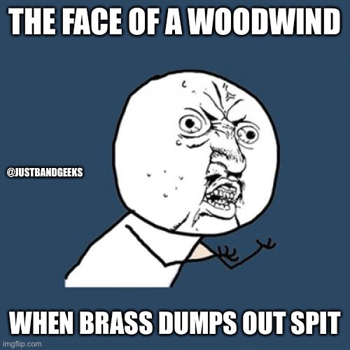 Woodwinds and brass | THE FACE OF A WOODWIND; @JUSTBANDGEEKS; WHEN BRASS DUMPS OUT SPIT | image tagged in memes,y u no | made w/ Imgflip meme maker