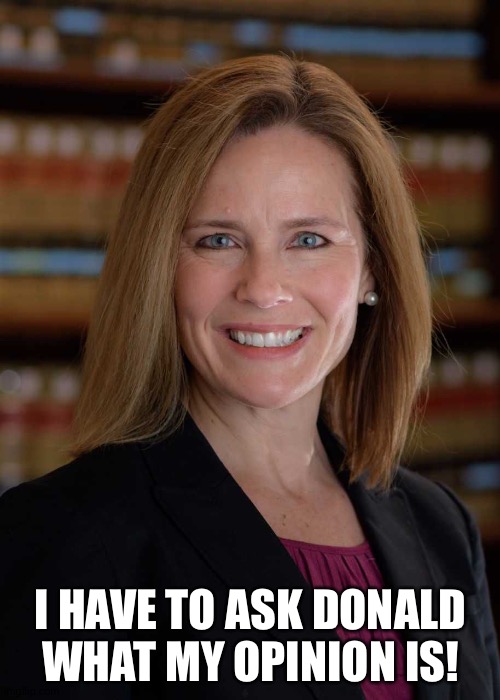 Amy Coney Barrett | I HAVE TO ASK DONALD WHAT MY OPINION IS! | image tagged in amy coney barrett | made w/ Imgflip meme maker