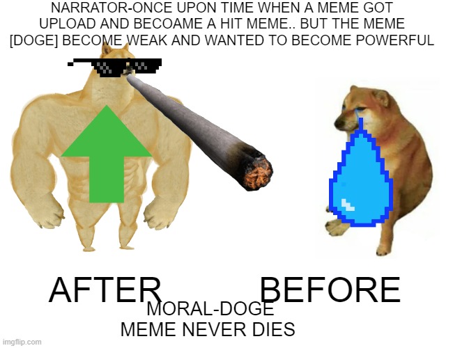 The Doge Meme Story | NARRATOR-ONCE UPON TIME WHEN A MEME GOT UPLOAD AND BECOAME A HIT MEME.. BUT THE MEME [DOGE] BECOME WEAK AND WANTED TO BECOME POWERFUL; AFTER; BEFORE; MORAL-DOGE MEME NEVER DIES | image tagged in memes,buff doge vs cheems | made w/ Imgflip meme maker
