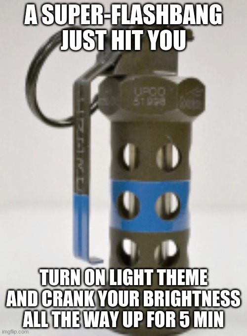 A SUPER-FLASHBANG JUST HIT YOU; TURN ON LIGHT THEME AND CRANK YOUR BRIGHTNESS ALL THE WAY UP FOR 5 MIN | image tagged in memes | made w/ Imgflip meme maker