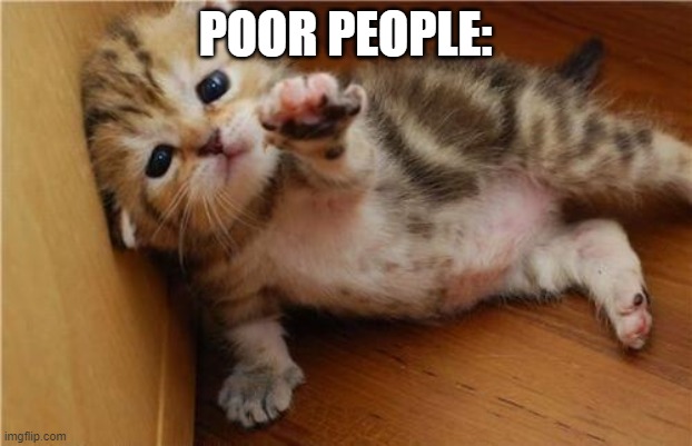 Help Me Kitten | POOR PEOPLE: | image tagged in help me kitten | made w/ Imgflip meme maker