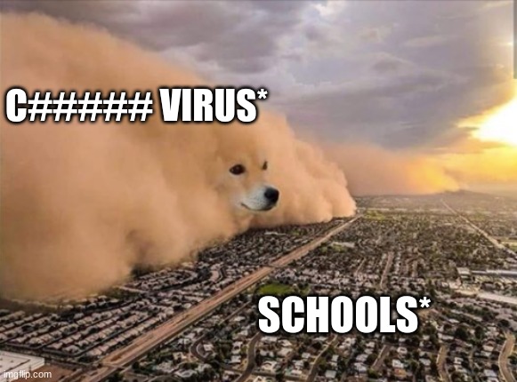 IKR | C##### VIRUS*; SCHOOLS* | image tagged in dust doge storm | made w/ Imgflip meme maker