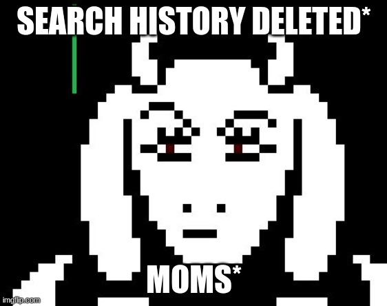 Uhhhh | SEARCH HISTORY DELETED*; MOMS* | image tagged in undertale - toriel | made w/ Imgflip meme maker