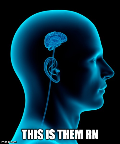 small brain | THIS IS THEM RN | image tagged in small brain | made w/ Imgflip meme maker