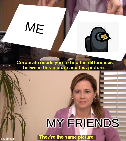 They're The Same Picture | ME; MY FRIENDS | image tagged in memes,they're the same picture | made w/ Imgflip meme maker