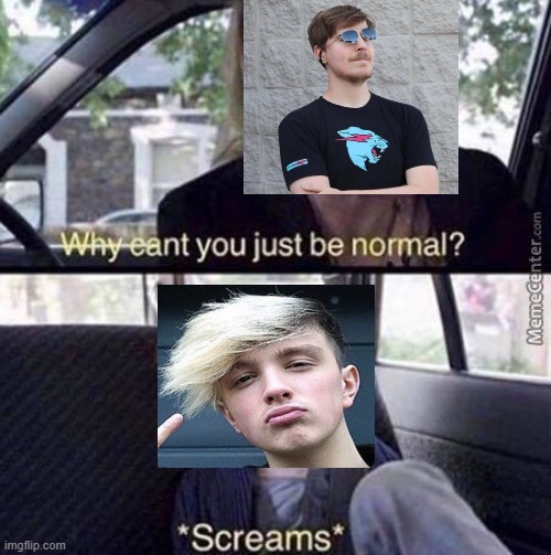 Why Can't You Just Be Normal | image tagged in why can't you just be normal | made w/ Imgflip meme maker