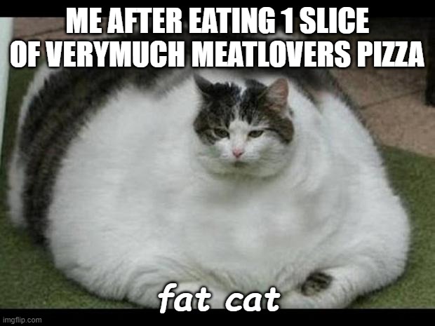 Fat catt | ME AFTER EATING 1 SLICE OF VERYMUCH MEATLOVERS PIZZA; fat cat | image tagged in fat cat 2 | made w/ Imgflip meme maker