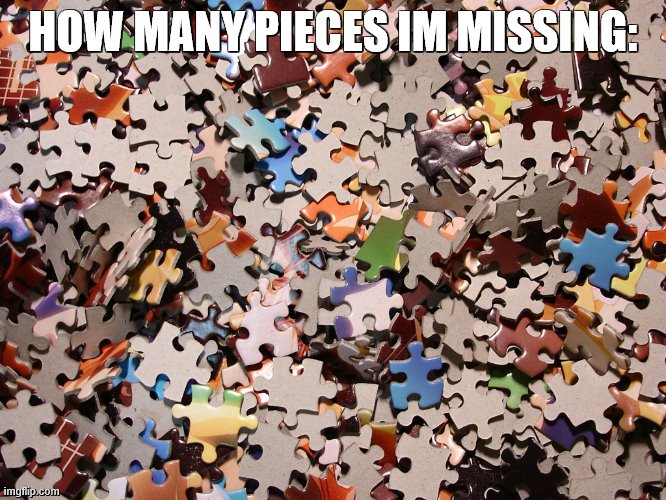 puzzle pieces | HOW MANY PIECES IM MISSING: | image tagged in puzzle pieces | made w/ Imgflip meme maker
