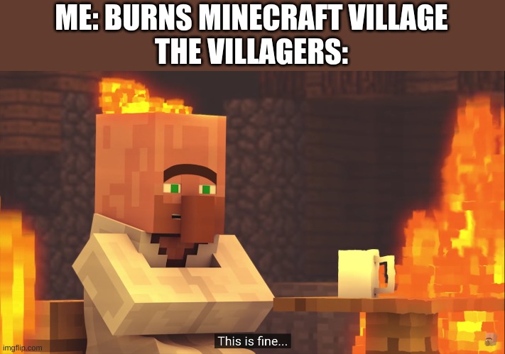 This Is Fine |  ME: BURNS MINECRAFT VILLAGE
THE VILLAGERS: | image tagged in villager news,this is fine,minecraft | made w/ Imgflip meme maker