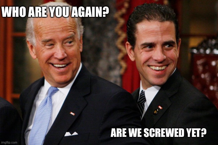 This is the dim way, do all sorts of dirty deeds and then throw each other to the wolves when they get caught. This will be fun. | WHO ARE YOU AGAIN? ARE WE SCREWED YET? | image tagged in bidens,screwed,who are you | made w/ Imgflip meme maker