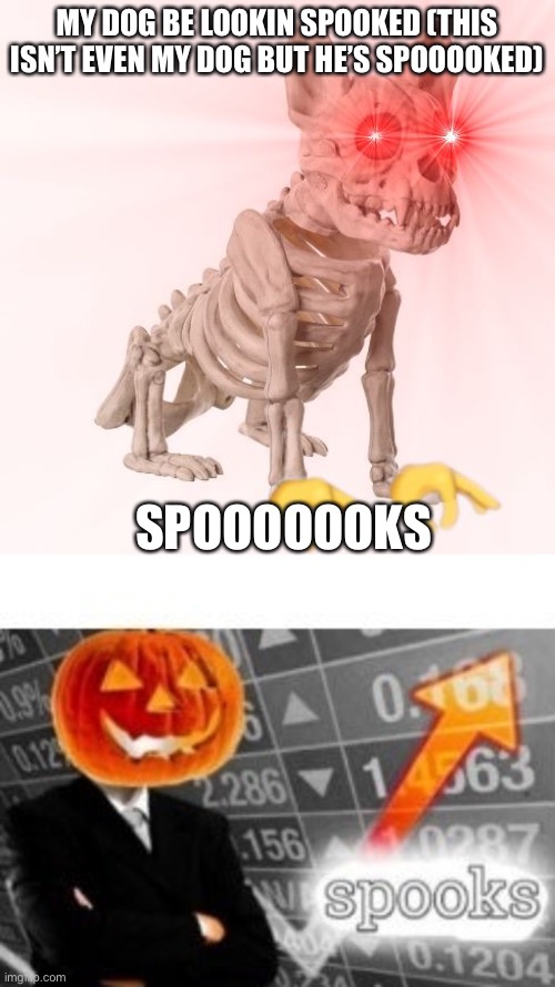 MY DOG BE LOOKIN SPOOKED (THIS ISN’T EVEN MY DOG BUT HE’S SPOOOOKED); SPOOOOOOKS | image tagged in spooktober,spooktober stonks | made w/ Imgflip meme maker