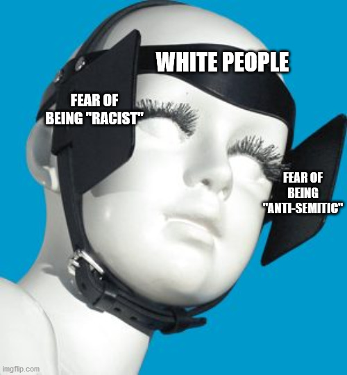 They're quite effective, until you tear them off | WHITE PEOPLE; FEAR OF BEING "RACIST"; FEAR OF BEING "ANTI-SEMITIC" | image tagged in blinders,white people,racism,anti-white,antisemitism | made w/ Imgflip meme maker