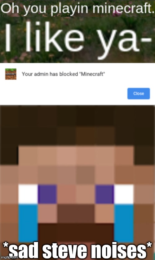 *sad steve noises* | *sad steve noises* | image tagged in your admin has blocked,minecraft,sad minecraft steve,sad steve noises | made w/ Imgflip meme maker