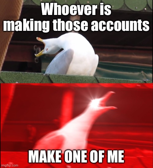 Screaming bird | Whoever is making those accounts; MAKE ONE OF ME | image tagged in screaming bird | made w/ Imgflip meme maker