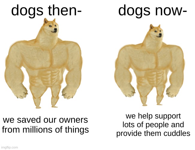 Buff Doge vs. Cheems Meme | dogs then-; dogs now-; we saved our owners from millions of things; we help support lots of people and provide them cuddles | image tagged in memes,buff doge vs cheems | made w/ Imgflip meme maker