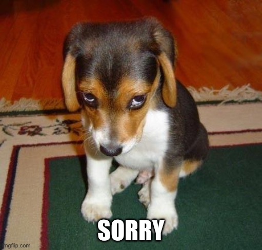 sorry | SORRY | image tagged in sorry | made w/ Imgflip meme maker