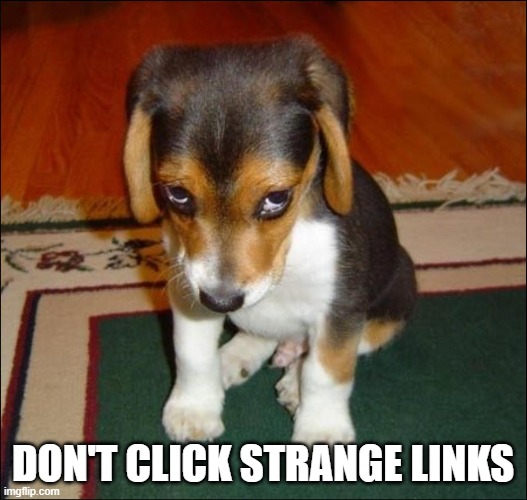 guilty puppy | DON'T CLICK STRANGE LINKS | image tagged in guilty puppy | made w/ Imgflip meme maker