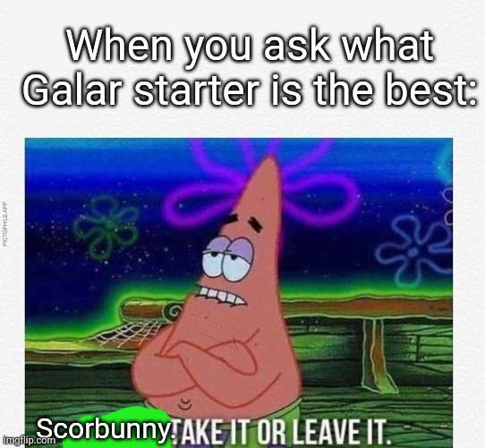I mean... ok? | When you ask what Galar starter is the best:; Scorbunny. | image tagged in 3 take it or leave it,pkmn sword and shield | made w/ Imgflip meme maker