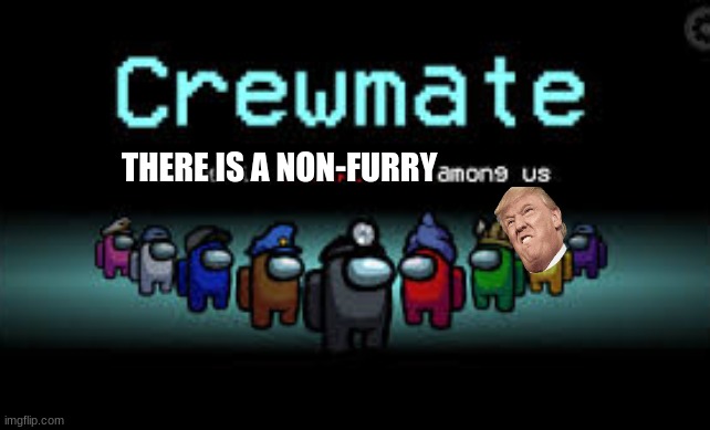 NON- FURRY | THERE IS A NON-FURRY | image tagged in there is 1 imposter among us | made w/ Imgflip meme maker