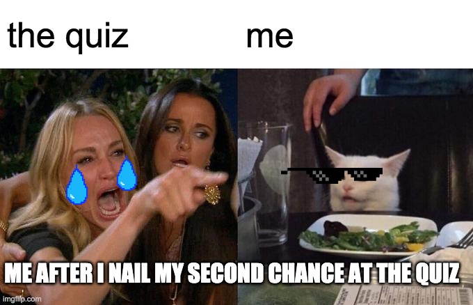 Woman Yelling At Cat | the quiz; me; ME AFTER I NAIL MY SECOND CHANCE AT THE QUIZ | image tagged in memes,woman yelling at cat | made w/ Imgflip meme maker