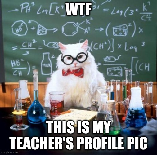 Chemistry Cat Meme | WTF; THIS IS MY TEACHER'S PROFILE PIC | image tagged in memes,chemistry cat | made w/ Imgflip meme maker