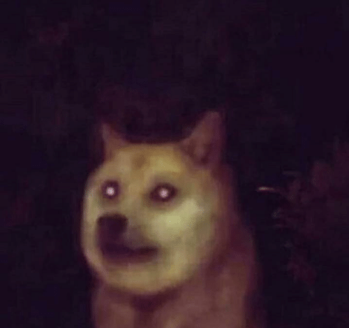 High Quality Cursed Doge Blank Meme Template