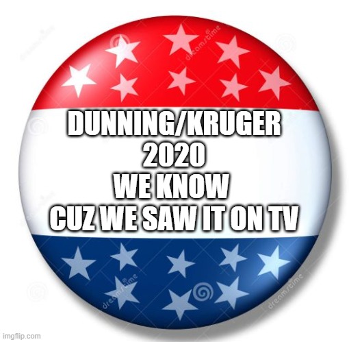 dunning kruger | DUNNING/KRUGER
2020
WE KNOW 
CUZ WE SAW IT ON TV | image tagged in campaign button | made w/ Imgflip meme maker