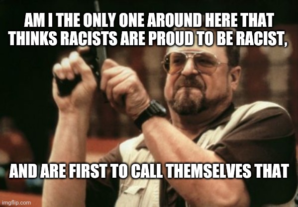 Am I The Only One Around Here Meme | AM I THE ONLY ONE AROUND HERE THAT THINKS RACISTS ARE PROUD TO BE RACIST, AND ARE FIRST TO CALL THEMSELVES THAT | image tagged in memes,am i the only one around here | made w/ Imgflip meme maker