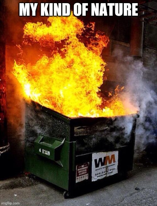 Dumpster Fire | MY KIND OF NATURE | image tagged in dumpster fire | made w/ Imgflip meme maker