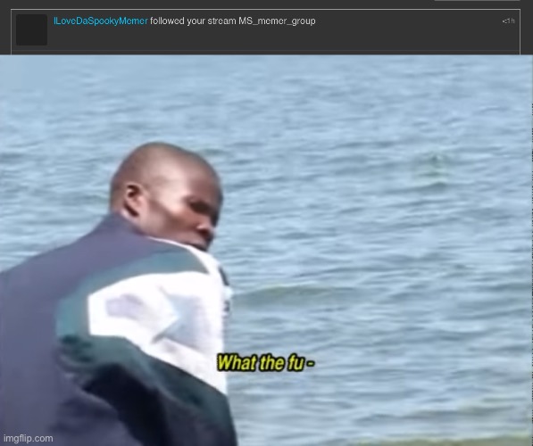 image tagged in what the fu- | made w/ Imgflip meme maker