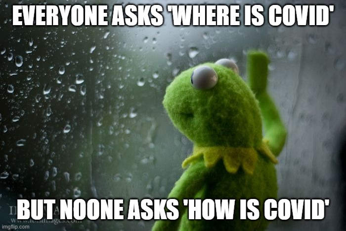 kermit window | EVERYONE ASKS 'WHERE IS COVID'; BUT NOONE ASKS 'HOW IS COVID' | image tagged in kermit window | made w/ Imgflip meme maker