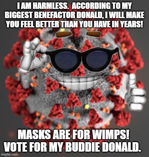 Coronavirus | I AM HARMLESS.  ACCORDING TO MY BIGGEST BENEFACTOR DONALD, I WILL MAKE YOU FEEL BETTER THAN YOU HAVE IN YEARS! MASKS ARE FOR WIMPS!  VOTE FOR MY BUDDIE DONALD. | image tagged in coronavirus | made w/ Imgflip meme maker