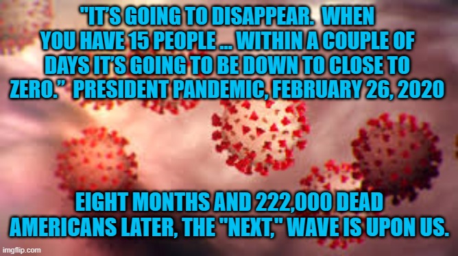 How Do You Like His "Downplaying," Now? | "IT’S GOING TO DISAPPEAR.  WHEN YOU HAVE 15 PEOPLE … WITHIN A COUPLE OF DAYS IT’S GOING TO BE DOWN TO CLOSE TO ZERO.”  PRESIDENT PANDEMIC, FEBRUARY 26, 2020; EIGHT MONTHS AND 222,000 DEAD AMERICANS LATER, THE "NEXT," WAVE IS UPON US. | image tagged in politics | made w/ Imgflip meme maker