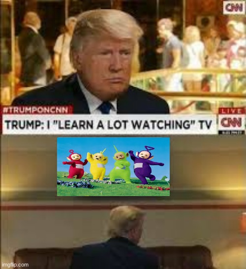 you can learn so much from tv | image tagged in trump,teletubbies | made w/ Imgflip meme maker