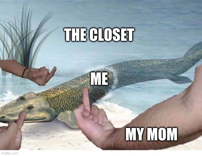 Asshole Fish | THE CLOSET; ME; MY MOM | image tagged in asshole fish | made w/ Imgflip meme maker
