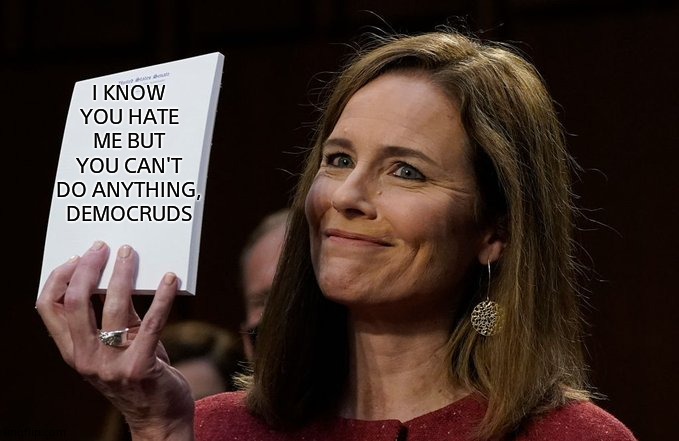 Barrett notepad | I KNOW YOU HATE ME BUT YOU CAN'T DO ANYTHING, DEMOCRUDS | image tagged in barrett notepad | made w/ Imgflip meme maker