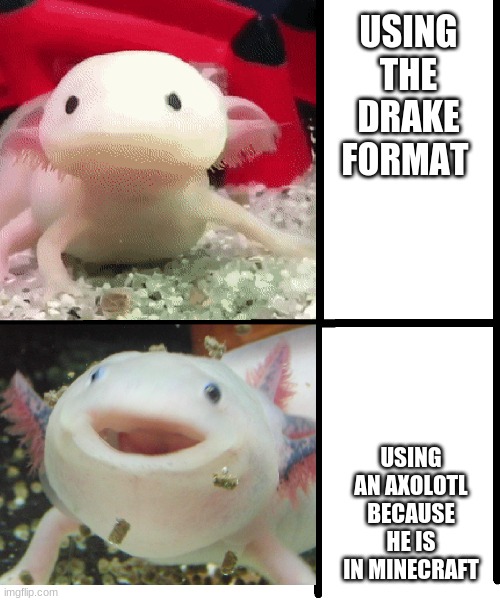 Axolotl | USING THE DRAKE FORMAT; USING AN AXOLOTL BECAUSE HE IS IN MINECRAFT | image tagged in axolotl | made w/ Imgflip meme maker